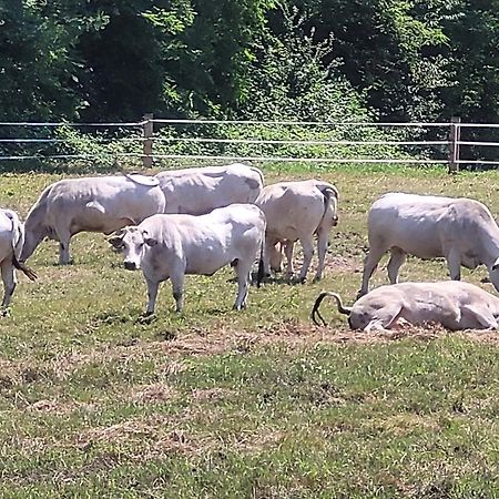 Agriturismo La Fornace Centro Ippico 科莫 外观 照片