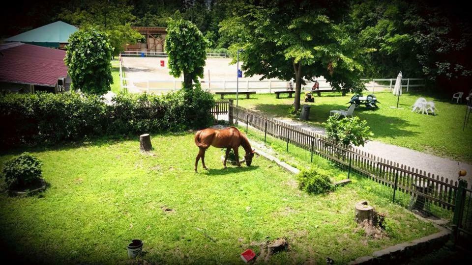 Agriturismo La Fornace Centro Ippico 科莫 外观 照片