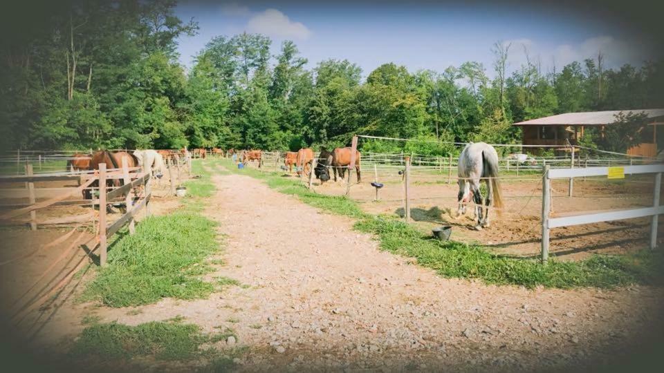 Agriturismo La Fornace Centro Ippico 科莫 外观 照片